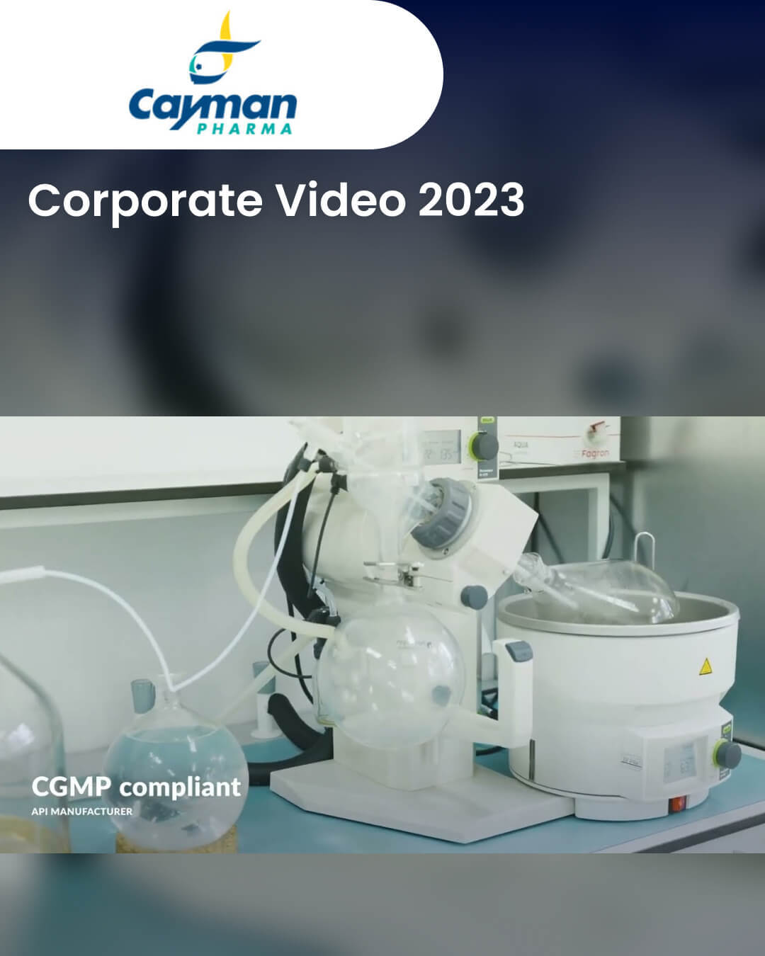 Corporate Video