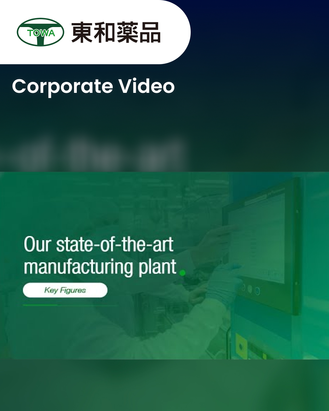 Corporate Video