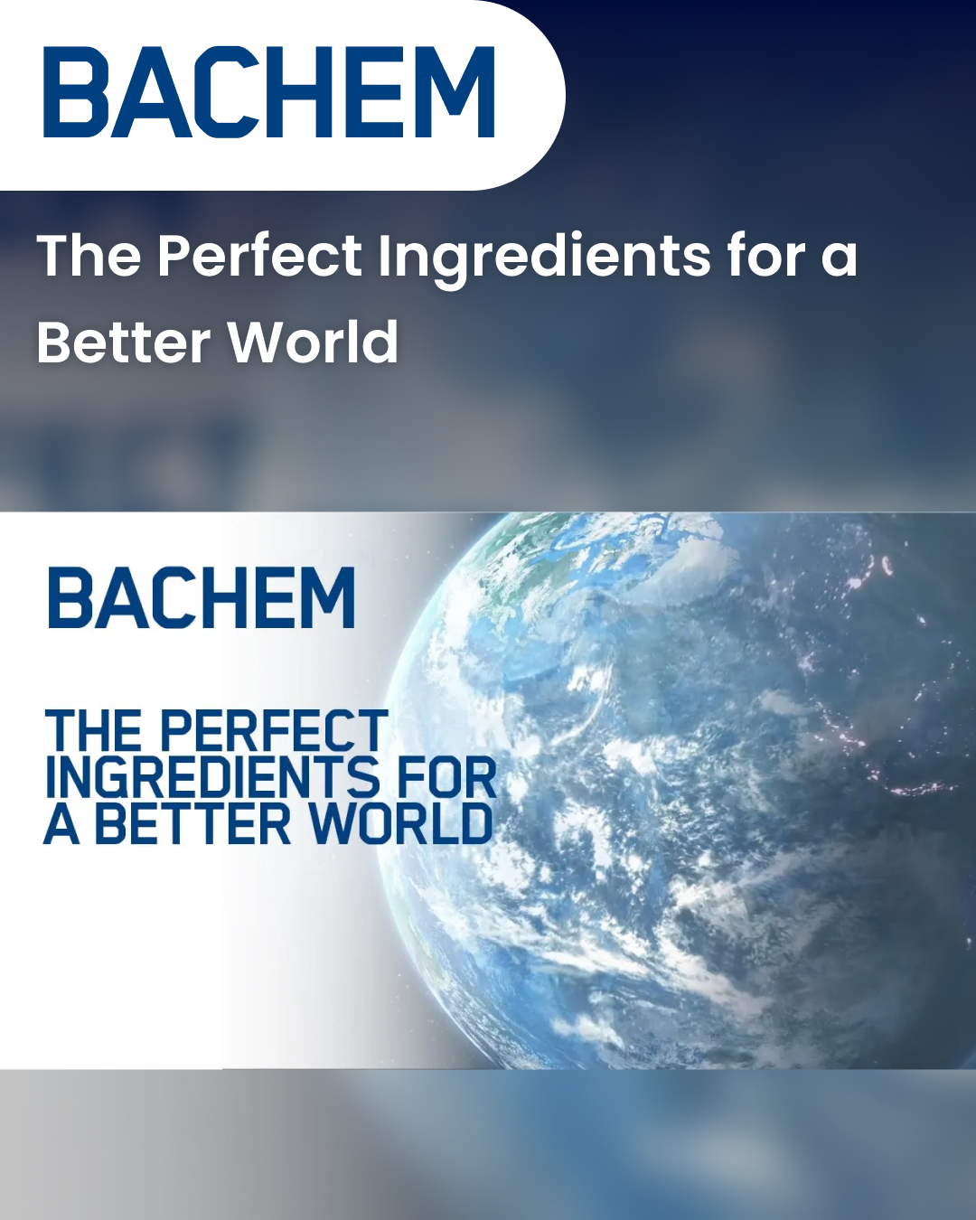 The Perfect Ingredients for a Better World