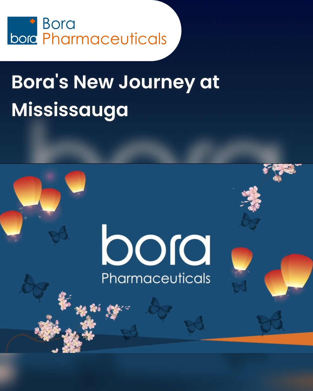 Bora's New Journey at Mississauga