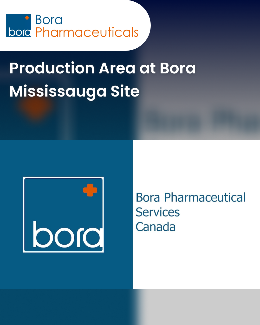 Production Area at Bora Mississauga Site