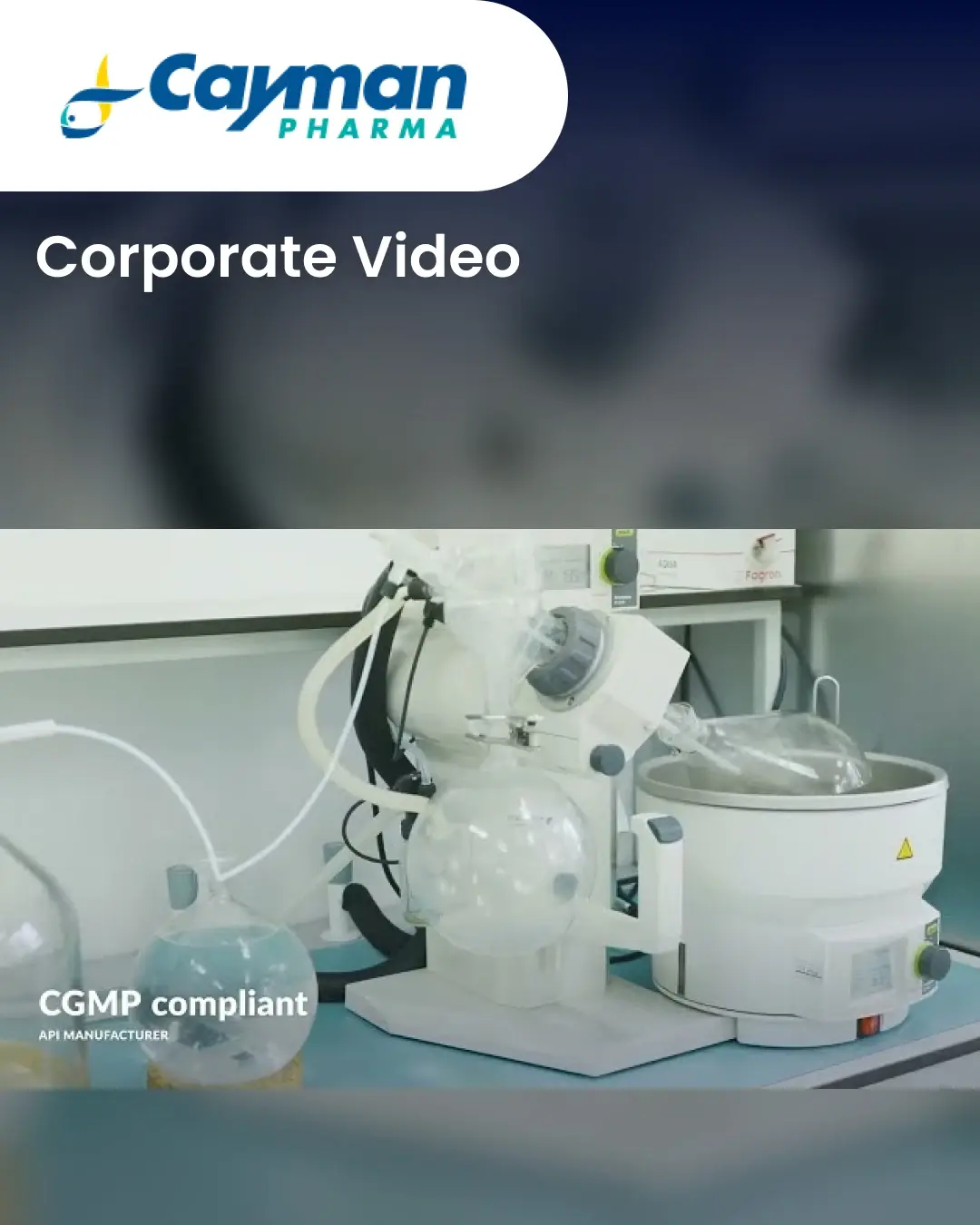 Corporate Video