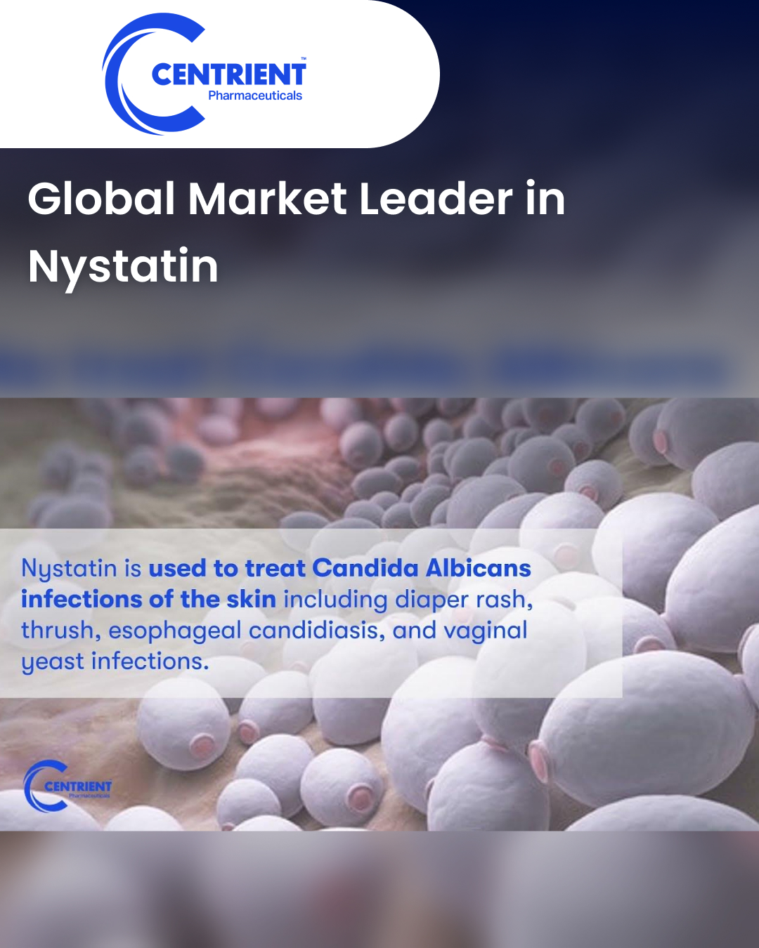 Global Market Leader in Nystatin