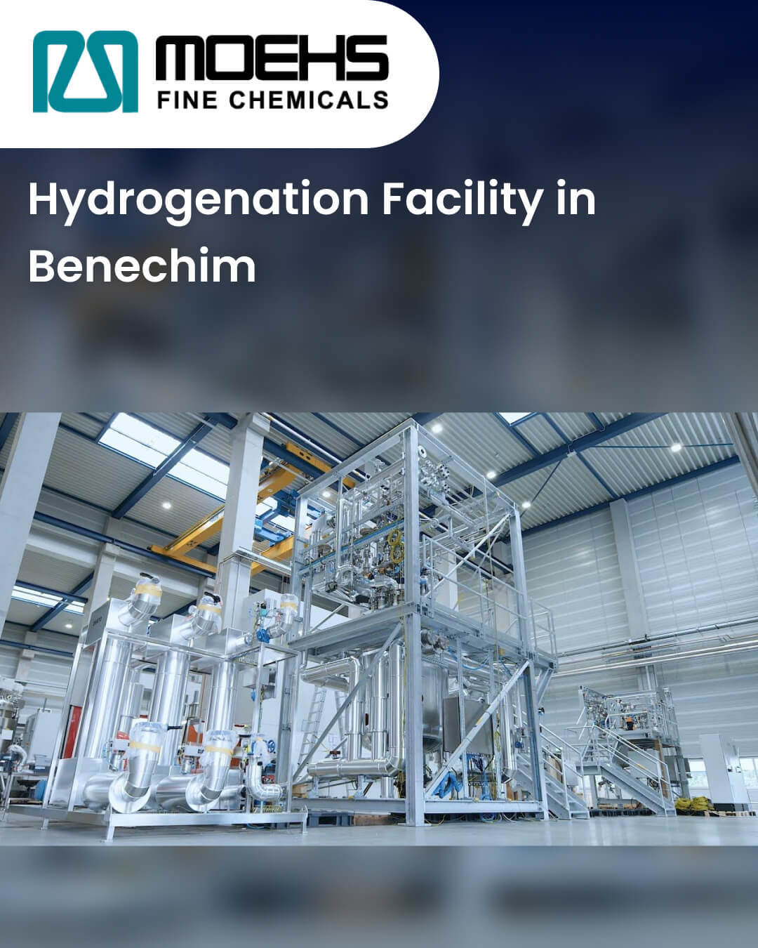 Hydrogenation Facility in Benechim