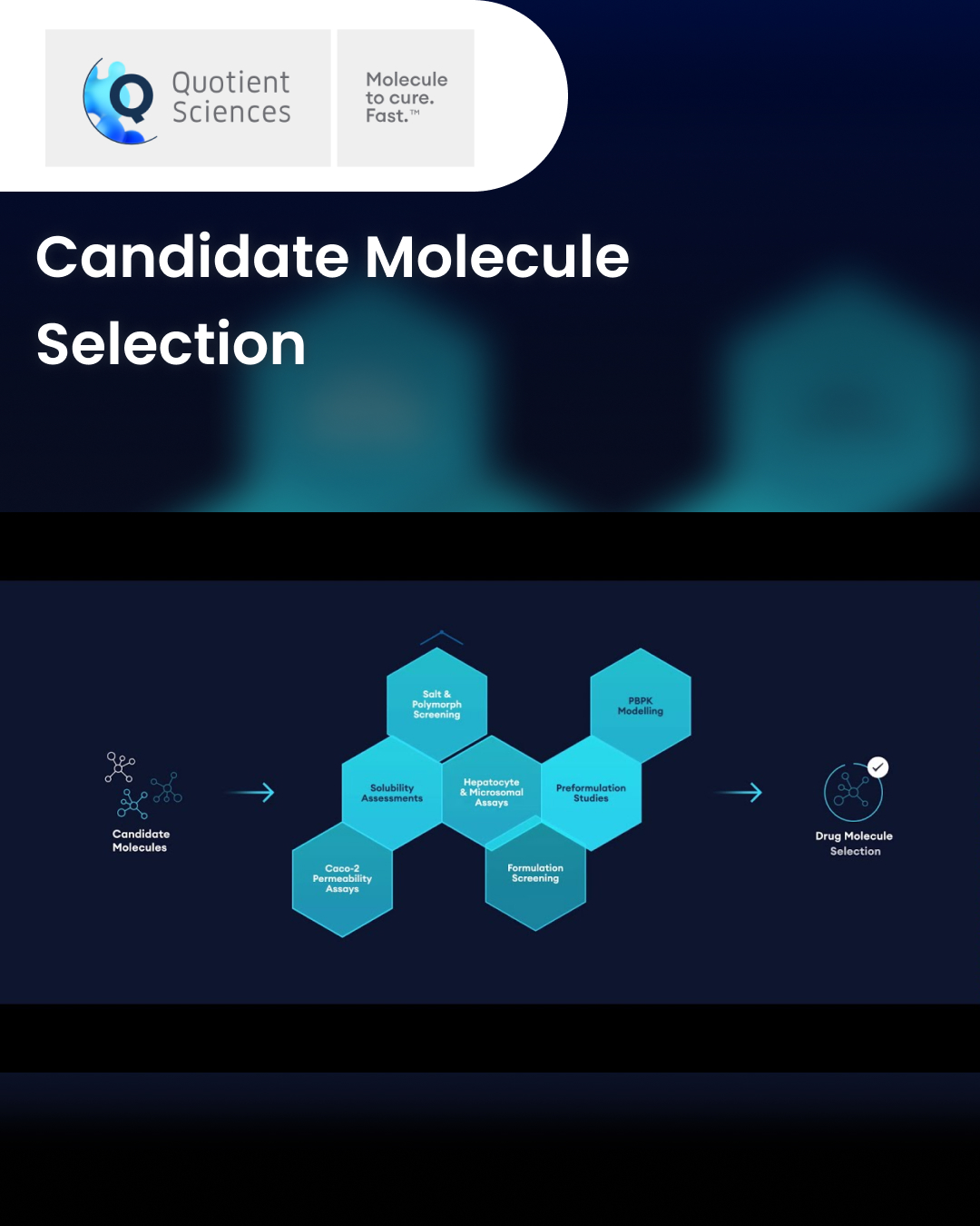 Candidate Molecule Selection