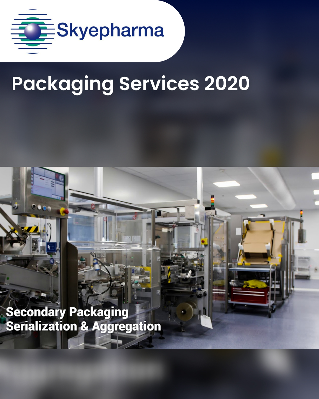 Packaging Services 2020