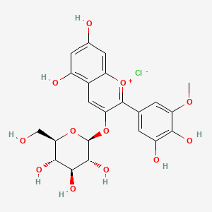 Petunidin 3-Monoglucoside
