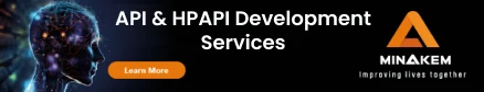 API & HPAPI Development Services