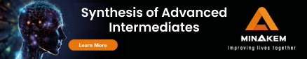 Synthesis of Advanced Intermediates