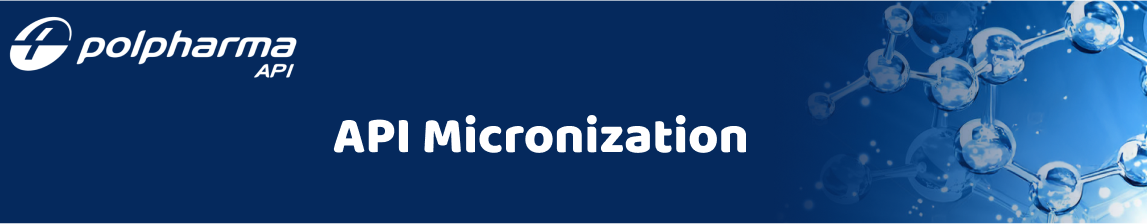 API Micronization