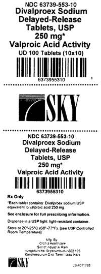 Divalproex Sodium 250mg Label
