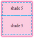 Principal Display Panel - Shade 5 Carton Label